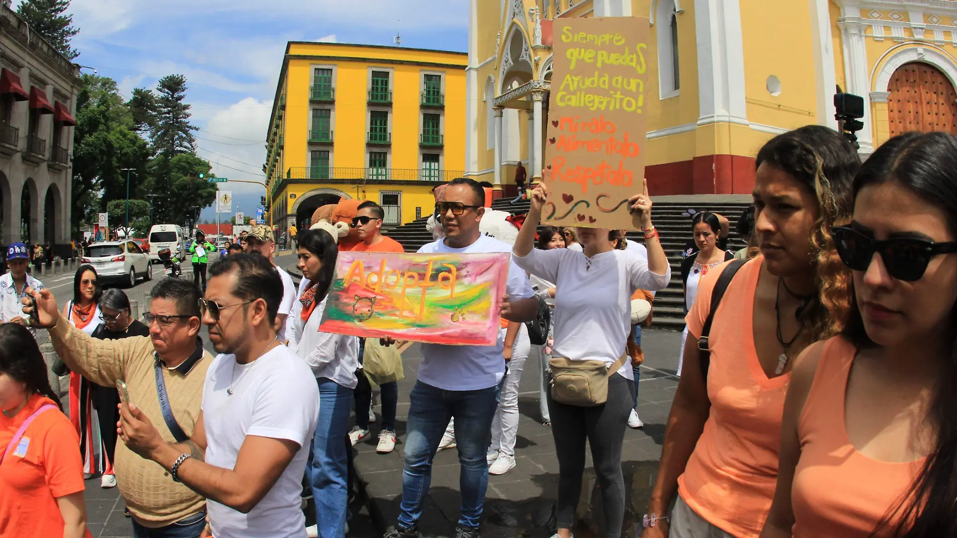 Protectores y rescatistas exigen respeto a derechos de los animales; marchan en Xalapa